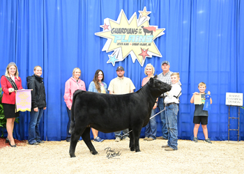 Owned Reserve Heifer Calf Champion Division 1