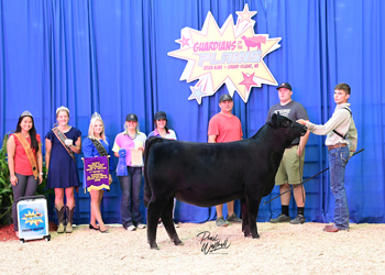Bred-and-owned Early Senior Heifer Calf Champion