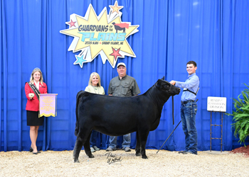 Owned Reserve Heifer Calf Champion Division 2