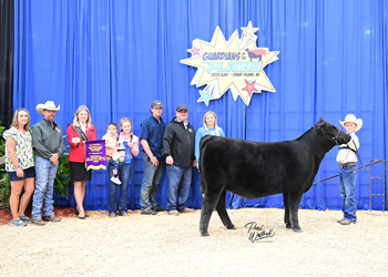 Owned Heifer Calf Champion Division 1