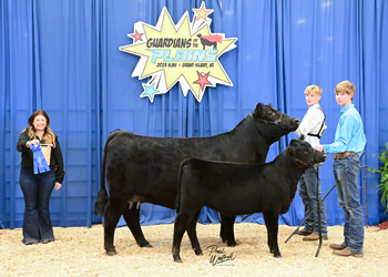 Owned Cow-calf Class 4