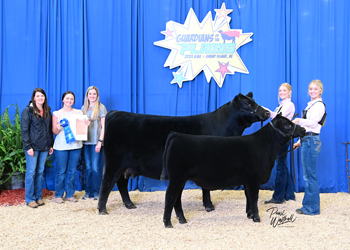 Owned Cow-calf Class 3