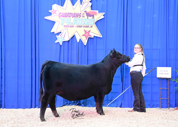 Bred-and-owned Heifer Class 22