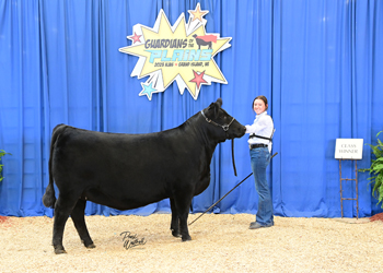 Owned Heifer Class 44