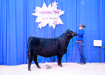 Owned Heifer Class 29