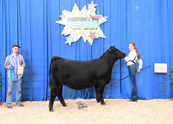 Owned Heifer Class 23