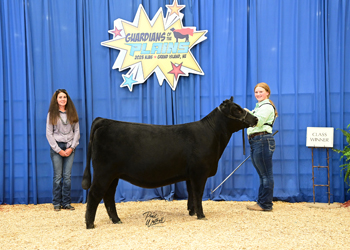 Owned Heifer Class 15