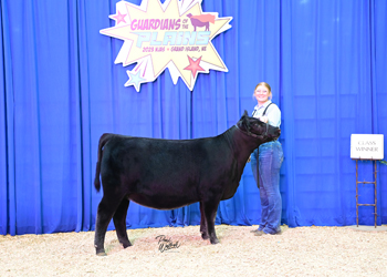 Owned Heifer Class 10