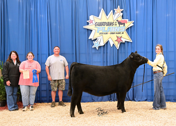 Owned Heifer Class 13