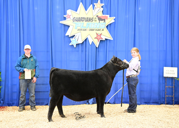 Owned Heifer Class 1