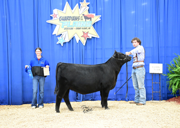 Owned Heifer Class 4