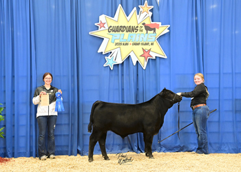 Bred-and-owned Bull Class 1
