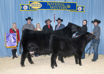 Grand Champion Cow-calf Pair