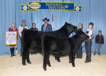 Reserve Grand Champion Cow-calf Pair