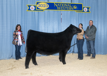 Reserve Junior Champion Heifer