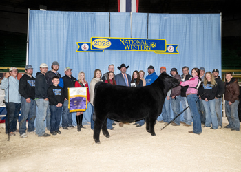 Grand Champion Female