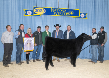 Reserve Grand Champion Female