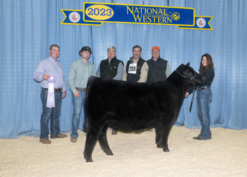 Reserve Junior Heifer Calf Champion - Div 2