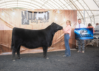 Reserve Grand Champion Owned Female