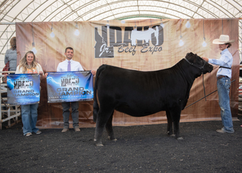 Grand Champion Bred-and-owned Female