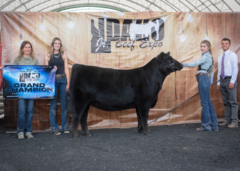 Grand Champion Owned Female