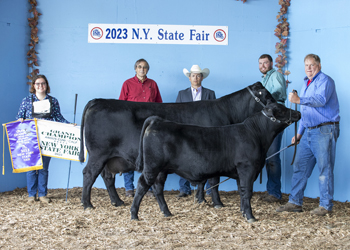 Grand Champion Cow-calf Pair