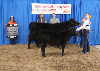 Grand Champion Cow-calf Pair