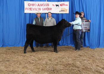 Reserve Grand Champion Owned Female