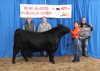 Reserve Grand Champion Bred-and-owned Bull