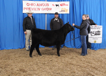 Reserve Grand Champion Female