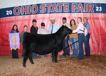 Reserve Grand Champion Female