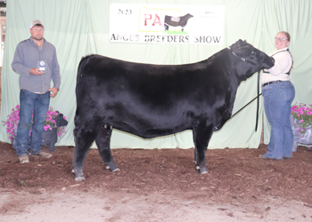 Owned Senior Champion Female