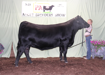 Bred-and-owned Early Junior Champion Heifer