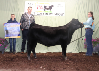 Grand Champion Bred-and-owned Female