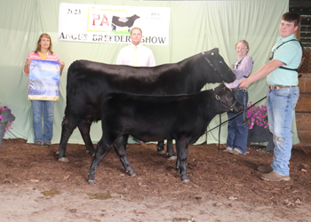 Reserve Grand Champion Cow-calf Pair