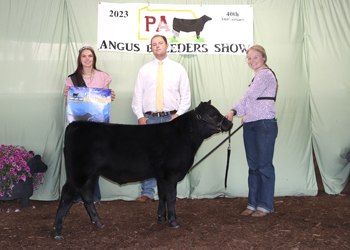 Reserve Grand Champion Bull