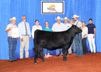 Reserve Grand Champion Female