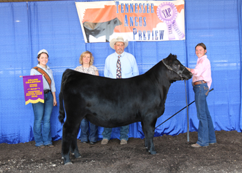 Grand Champion Owned Female