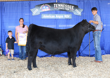 Reserve Grand Champion Bred-and-owned Female