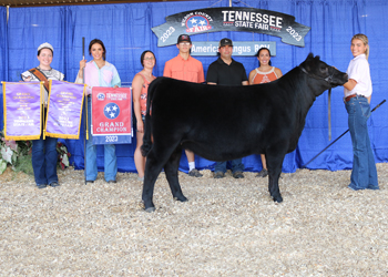 Grand Champion Owned Female