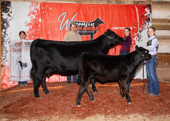 Reserve Grand Champion Cow-calf Pair