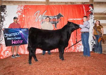 Grand Champion Bred-and-owned Female