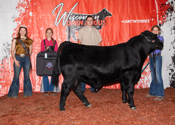 Reserve Grand Champion Bred-and-owned Bull