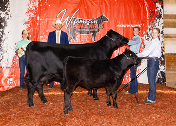 Grand Champion Cow-calf Pair