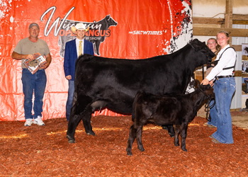 Reserve Grand Champion Cow-calf Pair