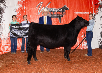 Reserve Grand Champion Female