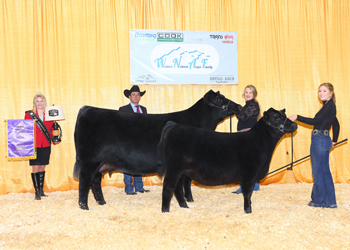 Grand Champion Cow-calf Pair