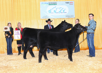 Reserve Grand Champion Cow-calf Pair