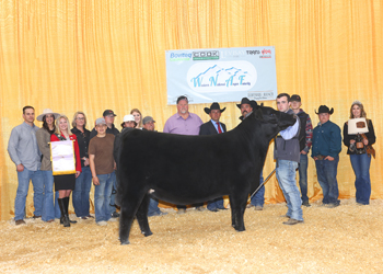 Reserve Grand Champion Female