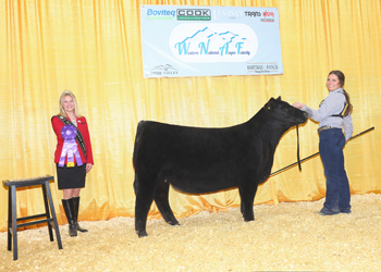 Junior Heifer Calf Champion Div 2